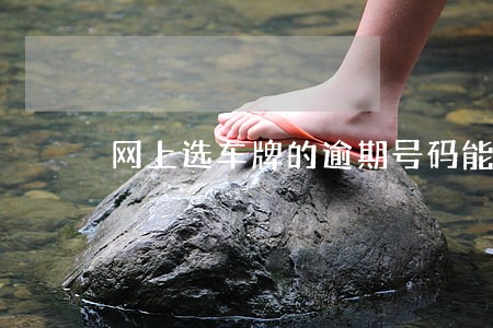 网上选车牌的逾期号码能选吗 网上选车牌的逾期号码能选吗