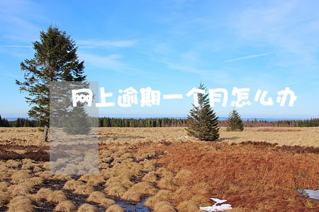 网上逾期一个月怎么办 网上逾期一个月怎么办