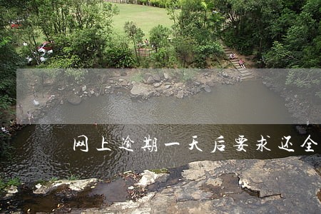网上逾期一天后要求还全额 网上逾期一天后要求还全额