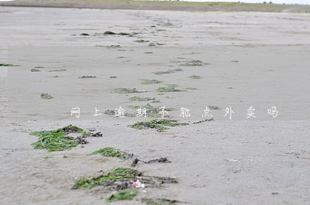 网上逾期不能点外卖吗 网上逾期不能点外卖吗