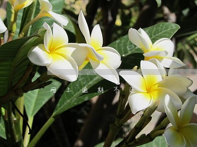 网上逾期不还 网上逾期不还
