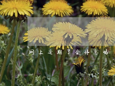 网上逾期了会停息吗 网上逾期了会停息吗