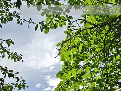 网上逾期了会怎么样 网上逾期了会怎么样