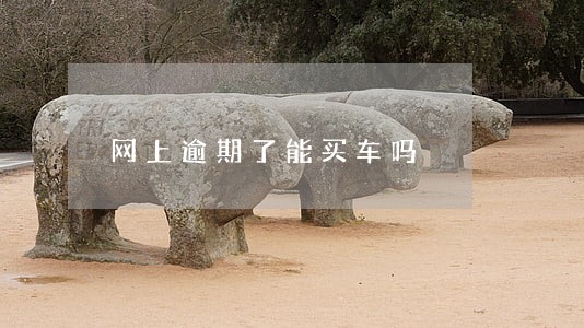 网上逾期了能买车吗 网上逾期了能买车吗