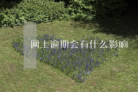 网上逾期会有什么影响 网上逾期会有什么影响