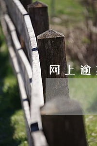 网上逾期入征信会怎么样