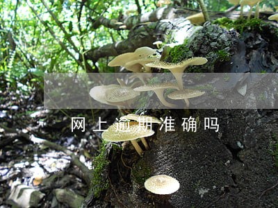 网上逾期准确吗 网上逾期准确吗