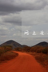 网上逾期印花税去现场怎么报 网上逾期印花税去现场怎么报