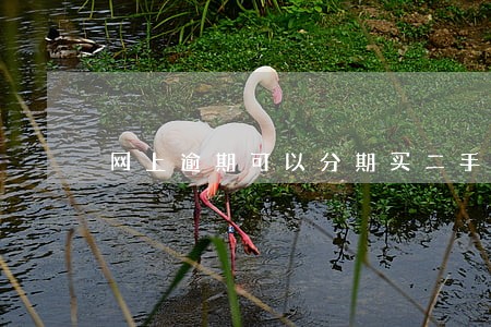 网上逾期可以分期买二手车吗 网上逾期可以分期买二手车吗