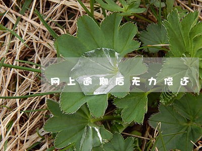 网上逾期后无力偿还 网上逾期后无力偿还