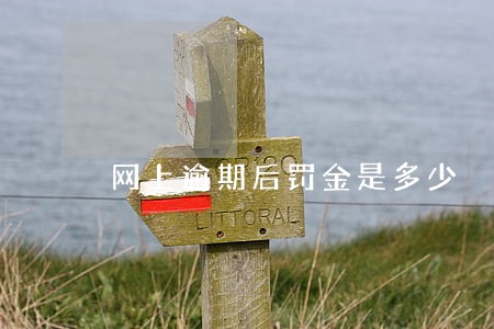 网上逾期后罚金是多少 网上逾期后罚金是多少