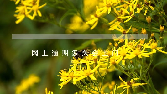 网上逾期多久会上门 网上逾期多久会上门