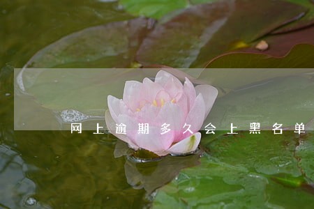网上逾期多久会上黑名单