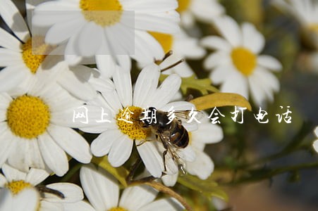 网上逾期多久会打电话 网上逾期多久会打电话
