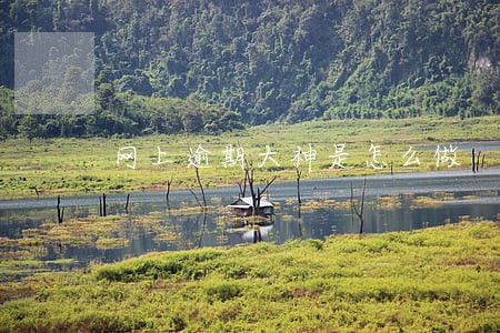 网上逾期大神是怎么做 网上逾期大神是怎么做