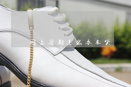 网上逾期怎么办车贷 网上逾期怎么办车贷