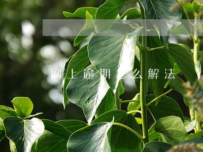 网上逾期怎么解法 网上逾期怎么解法