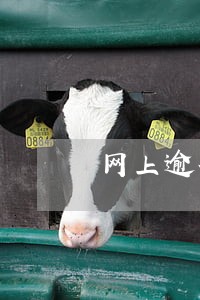 网上逾期怎么重新申请 网上逾期怎么重新申请
