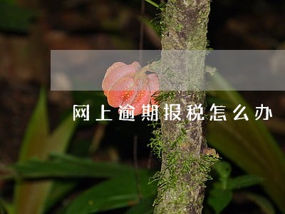 网上逾期报税怎么办 网上逾期报税怎么办
