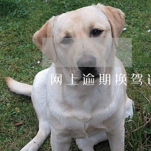 网上逾期换驾证流程
