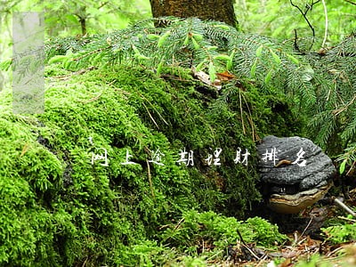 网上逾期理财排名 网上逾期理财排名