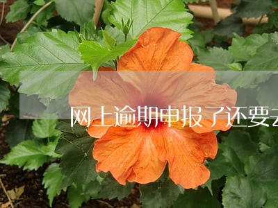 网上逾期申报了还要去大厅吗 网上逾期申报了还要去大厅吗