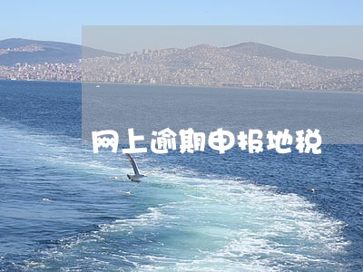 网上逾期申报地税 网上逾期申报地税