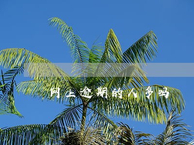 网上逾期的人多吗 网上逾期的人多吗