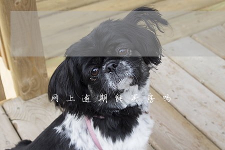 网上逾期能买房吗 网上逾期能买房吗