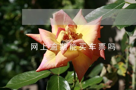 网上逾期能买车票吗 网上逾期能买车票吗