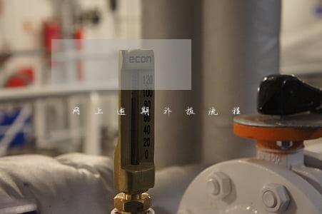 网上逾期补报流程