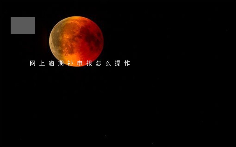 网上逾期补申报怎么操作