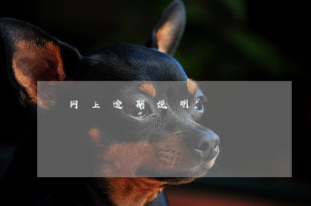 网上逾期说明 网上逾期说明