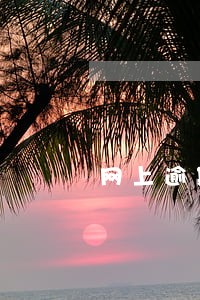网上逾期还能贷下钱吗 网上逾期还能贷下钱吗