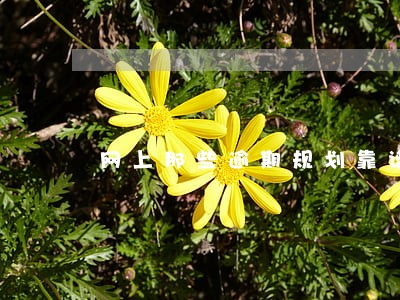 网上那些逾期规划靠谱嘛 网上那些逾期规划靠谱嘛