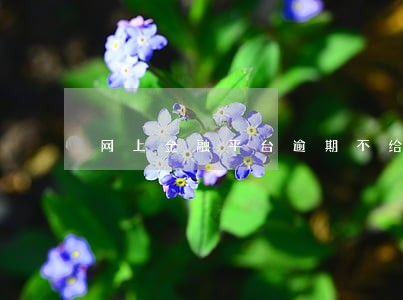 网上金融平台逾期不给钱
