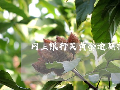 网上银行买黄金逾期被冻结怎么办 网上银行买黄金逾期被冻结怎么办