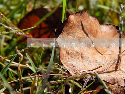 网上银行贷款逾期会有啥后果