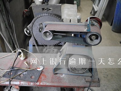 网上银行逾期一天怎么办 网上银行逾期一天怎么办