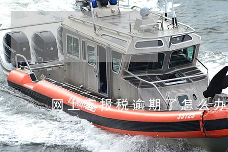 网上零报税逾期了怎么办 网上零报税逾期了怎么办