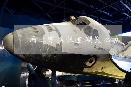 网上零报税逾期怎么办 网上零报税逾期怎么办