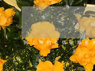 网上预约征信逾期多久能上门 网上预约征信逾期多久能上门
