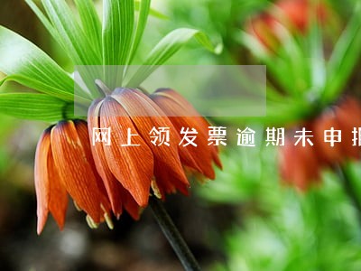 网上领发票逾期未申报怎么办 网上领发票逾期未申报怎么办
