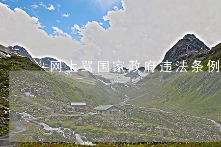 网上骂国家政府违法条例 网上骂国家政府违法条例