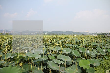 网上高利贷只还本金行不行 网上高利贷只还本金行不行