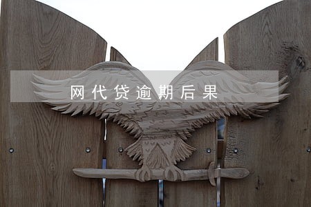 网代贷逾期后果
