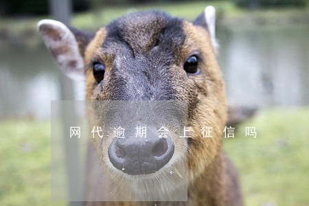 网代逾期会上征信吗 网代逾期会上征信吗