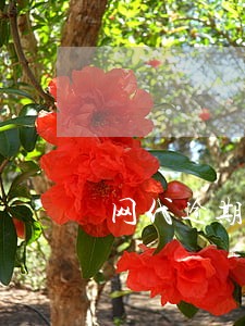 网代逾期会爆你的通讯录 网代逾期会爆你的通讯录