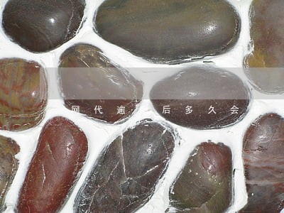 网代逾期后多久会被冻结资产 网代逾期后多久会被冻结资产