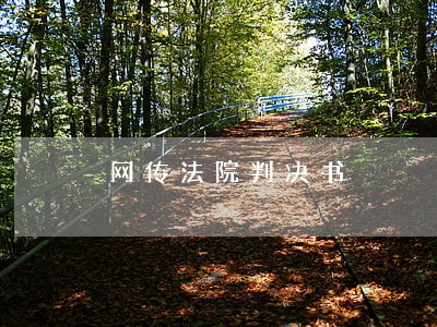网传法院判决书